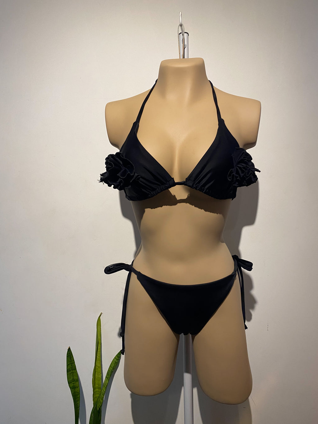 Bikini Paradise